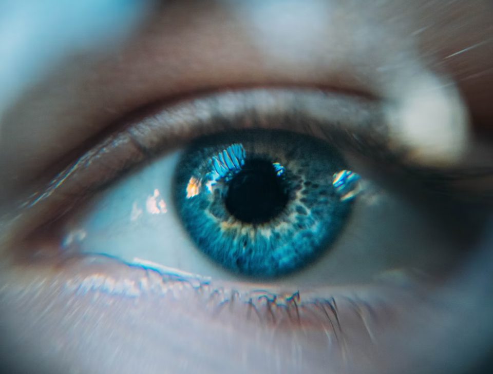 vision